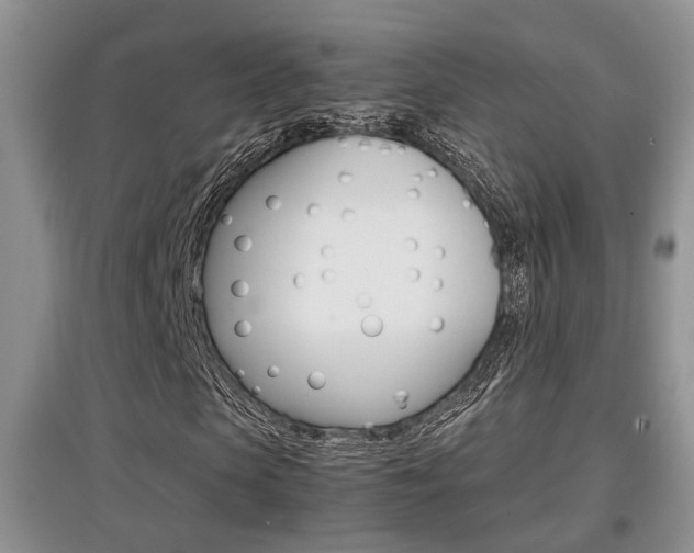 X0000097900913200803141003