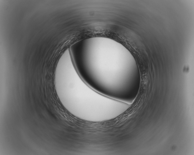 X0000097900916200803141003
