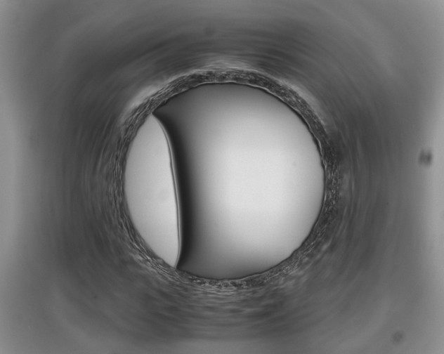 X0000097900919200803141003