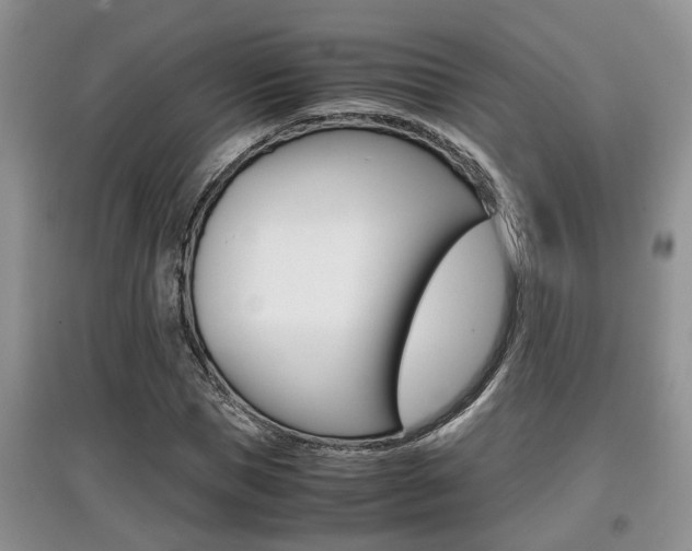 X0000097900921200803141003