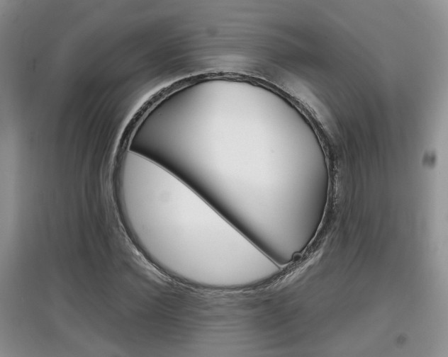 X0000097900924200803141003