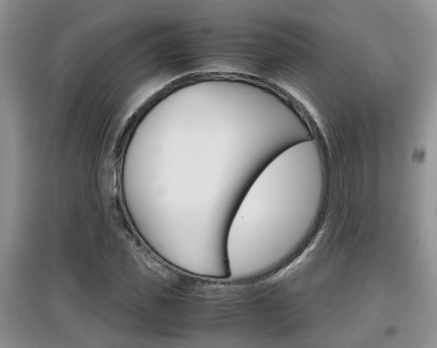 X0000097900925200803141003