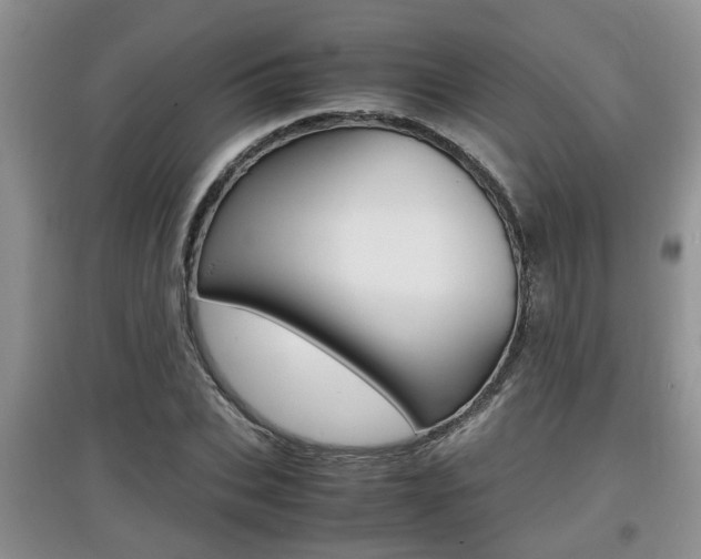 X0000097900927200803141003