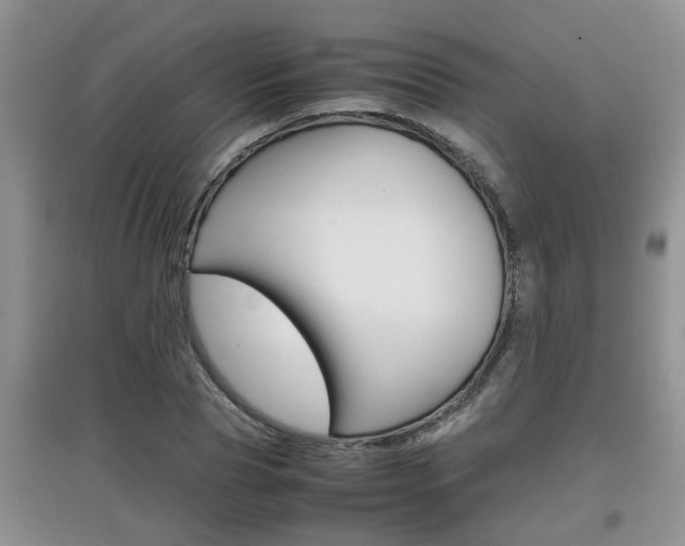 X0000097900929200803141003