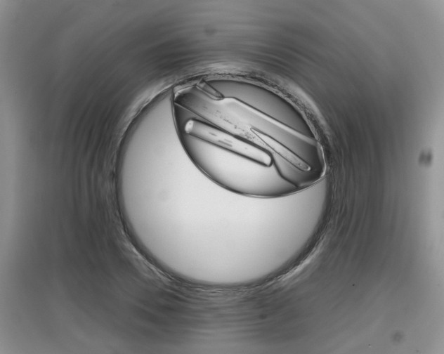 X0000097900930200803141003