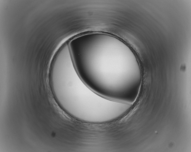 X0000097900932200803141003