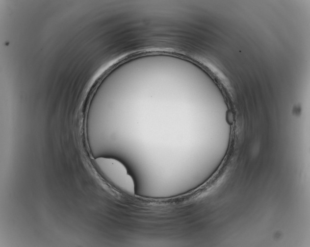 X0000097900933200803141003