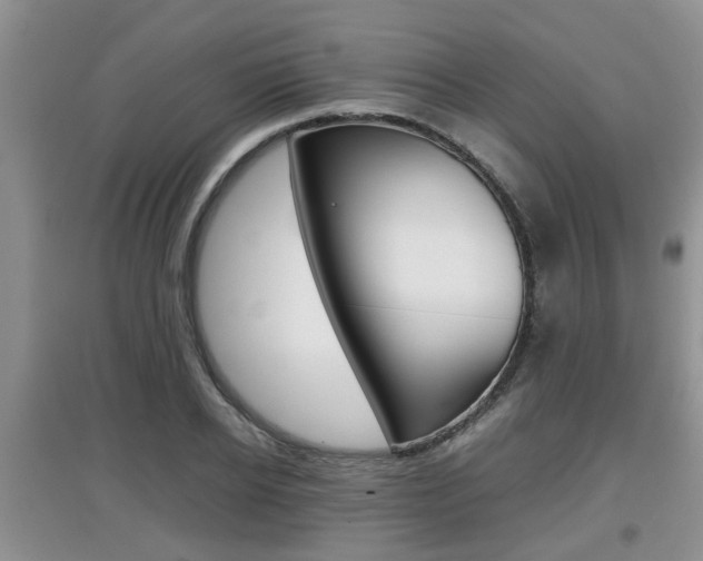 X0000097900934200803141003