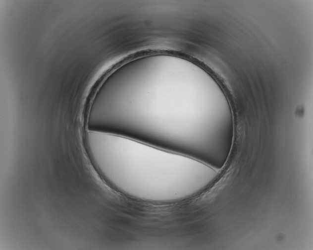 X0000097900935200803141003