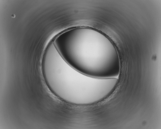 X0000097900936200803141003