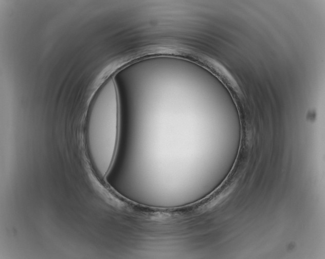 X0000097900938200803141003