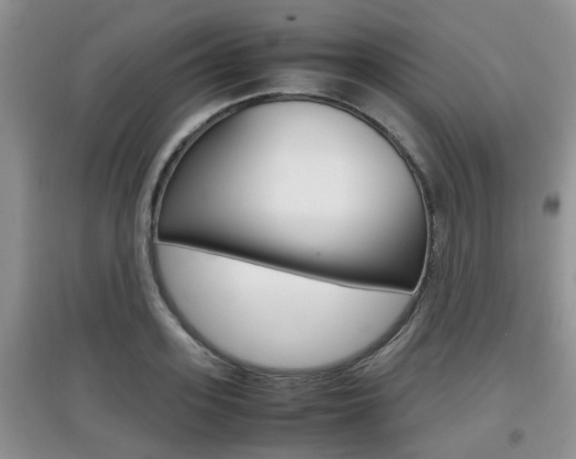 X0000097900939200803141003
