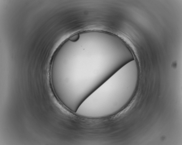 X0000097900941200803141003