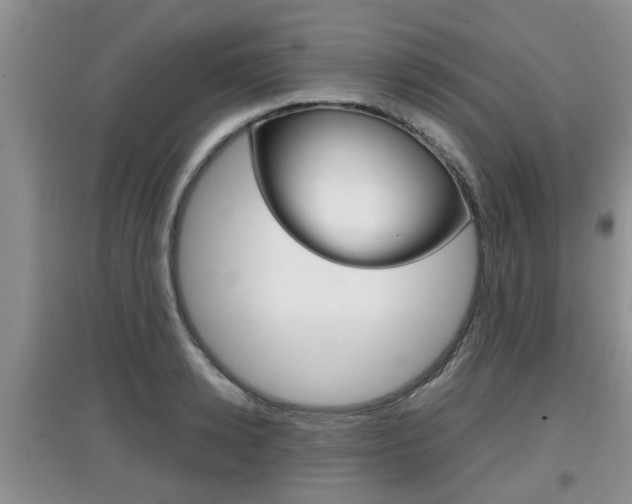 X0000097900942200803141003