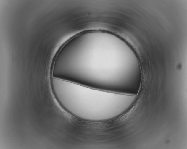 X0000097900943200803141003