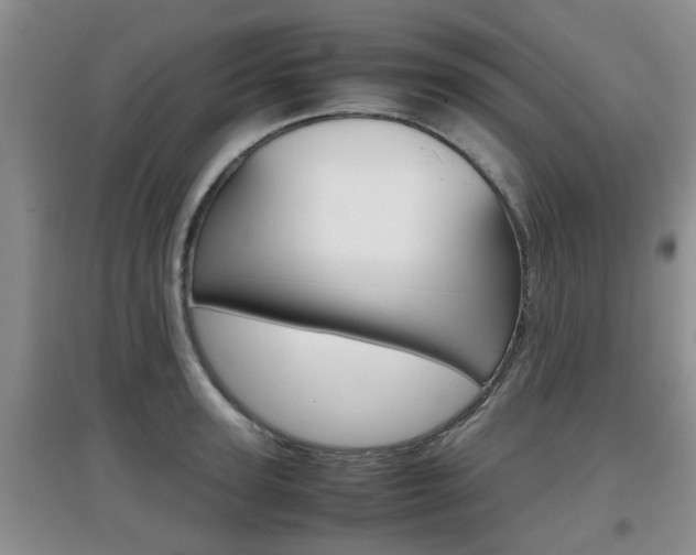 X0000097900947200803141003