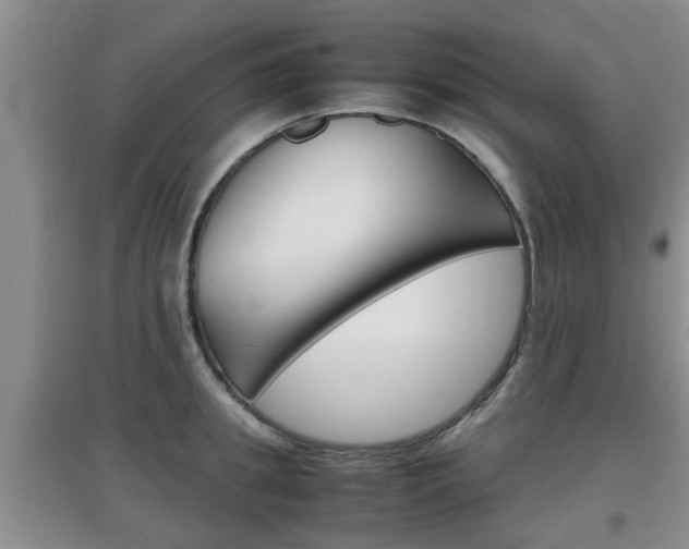 X0000097900949200803141003