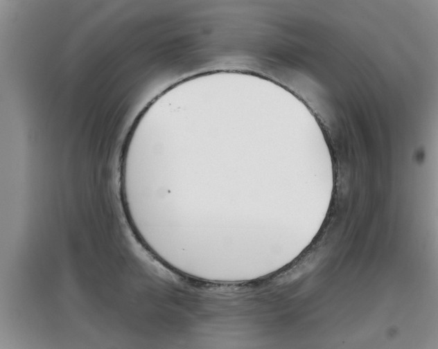 X0000097900950200803141003