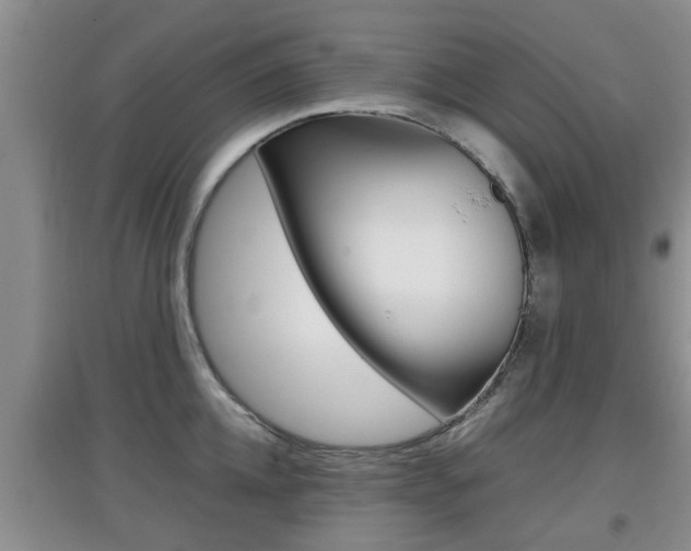 X0000097900952200803141003