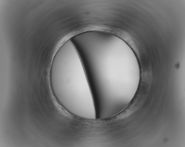 X0000097900954200803141003