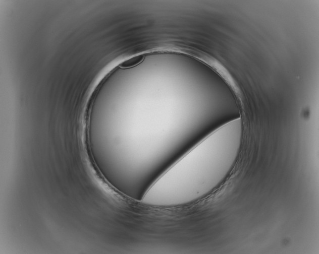 X0000097900955200803141003