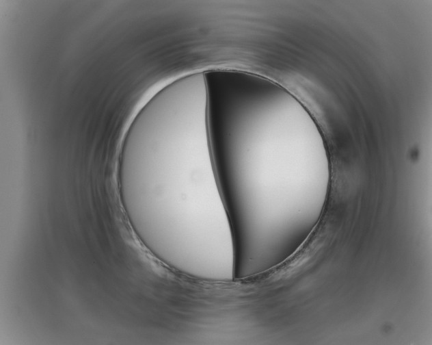 X0000097900956200803141003