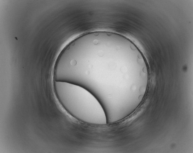 X0000097900957200803141003