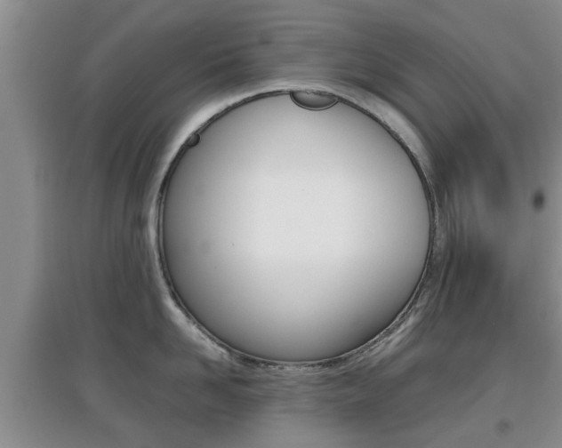 X0000097900958200803141003