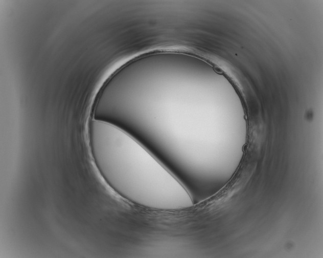 X0000097900959200803141003