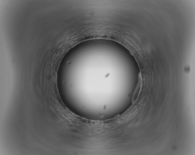 X0000097900961200803141003