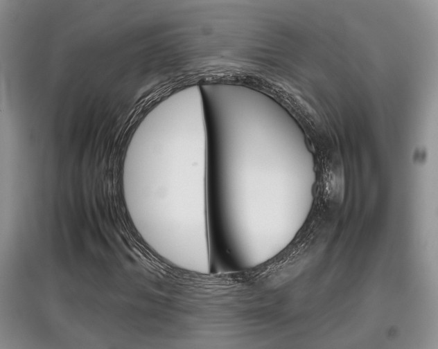 X0000097900964200803141003