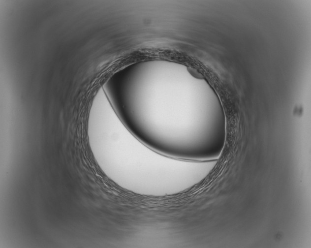 X0000097900965200803141003