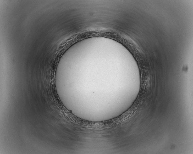 X0000097900966200803141003