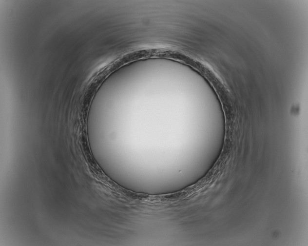 X0000097900967200803141003