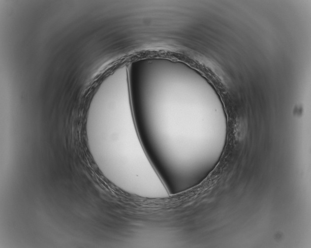 X0000097900968200803141003
