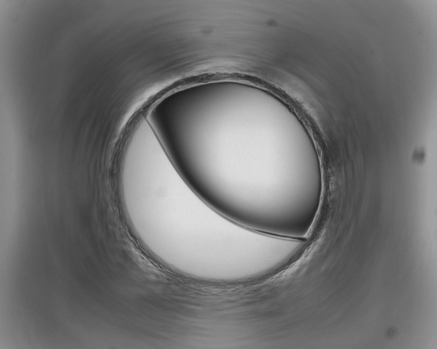 X0000097900973200803141002