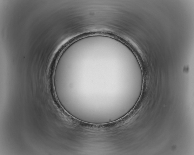 X0000097900975200803141002
