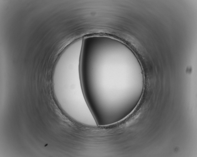 X0000097900977200803141002