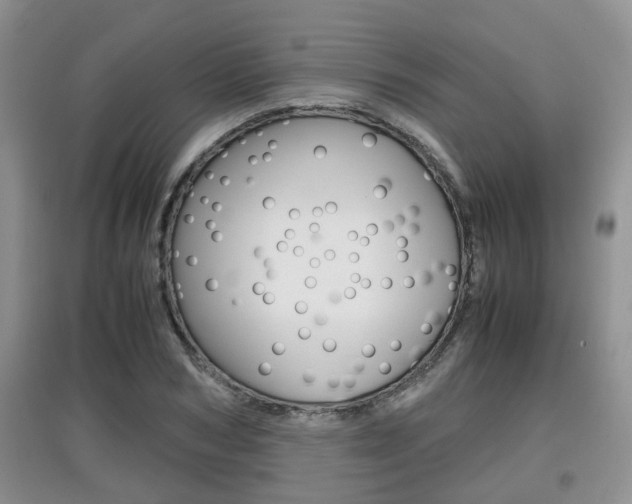 X0000097900978200803141002