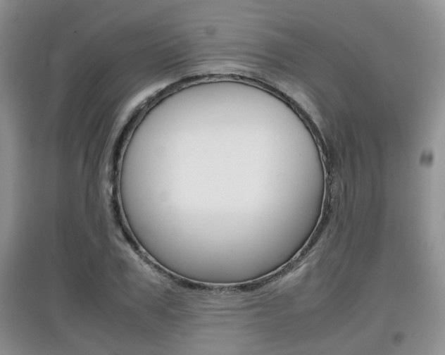 X0000097900979200803141002