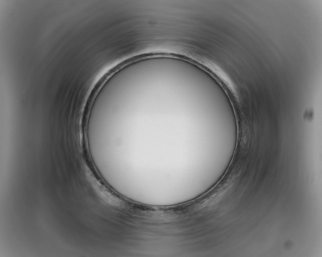 X0000097900980200803141002