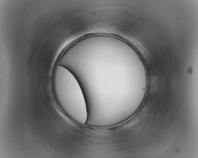 X0000097900982200803141002