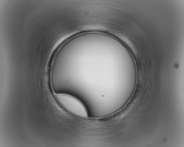 X0000097900983200803141002