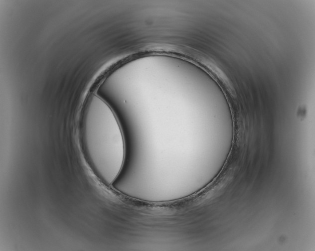 X0000097900984200803141002