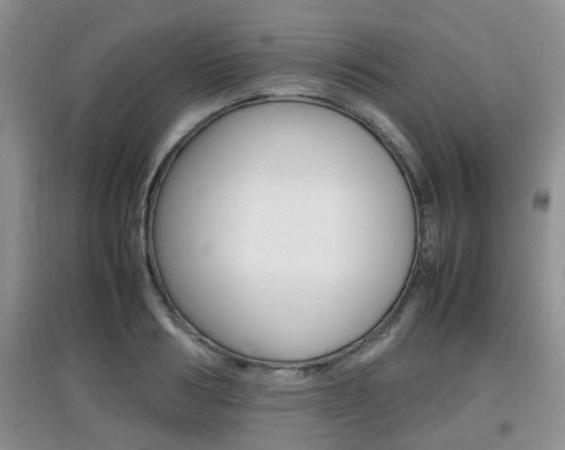 X0000097900986200803141002