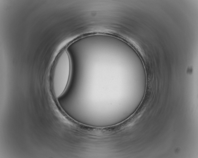 X0000097900987200803141002