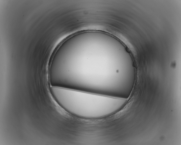 X0000097900988200803141002
