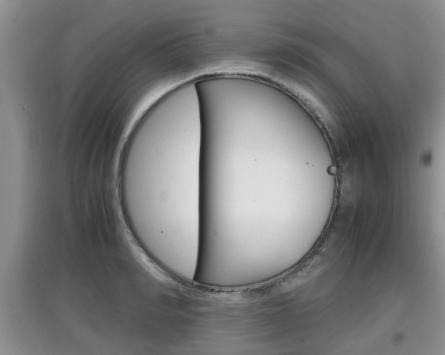 X0000097900990200803141002