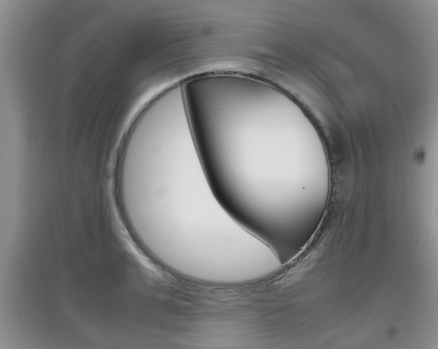 X0000097900991200803141002