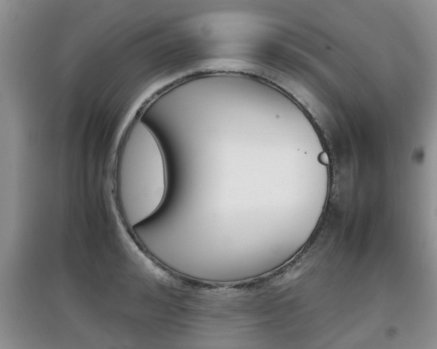 X0000097900992200803141002